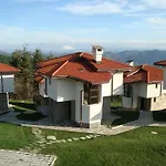 Cassiopea