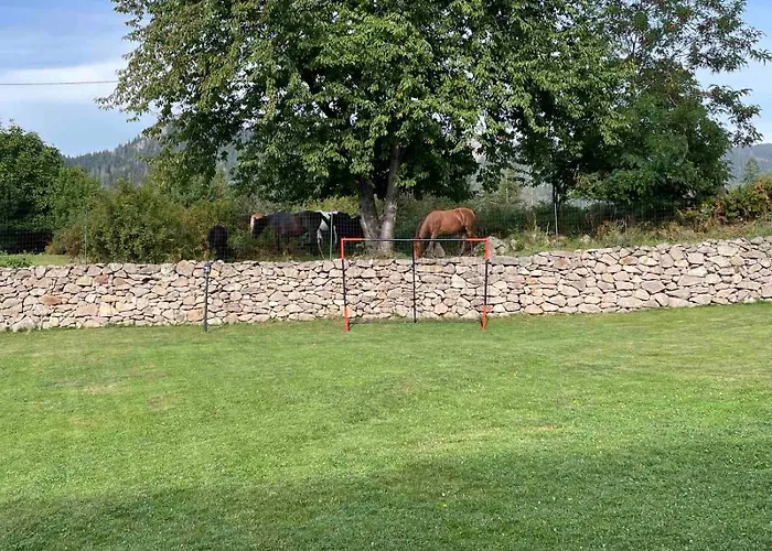 Cassiopea Holiday home